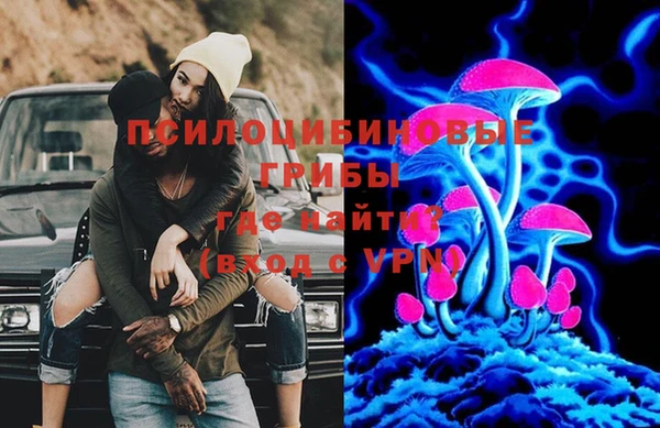гидра Аркадак