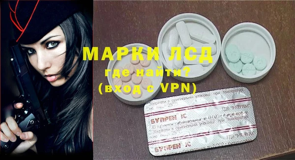 гидра Аркадак