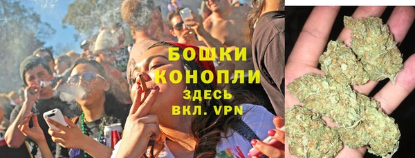 гидра Аркадак