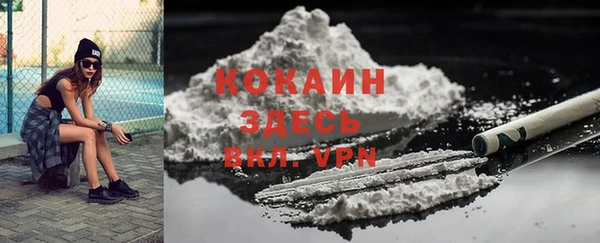 дживик Арсеньев