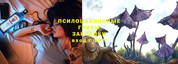 дживик Арсеньев