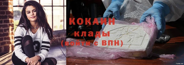 дживик Арсеньев