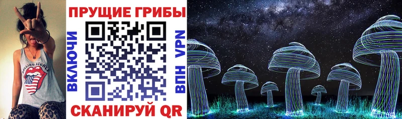 Псилоцибиновые грибы Magic Shrooms Старица